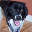 Herbie was adopted in April, 2005